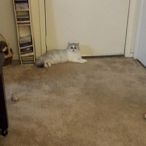 Meet your Posher, Melin6